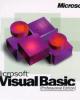 Visual Basic