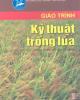 Giáo trình kỹ thuật trồng lúa part 10