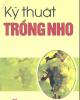 Kỹ thuật trồng nho