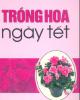 Trồng hoa ngày tết ( Nxb Lao Động )