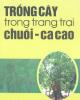 Trồng cây trong trang trại – Chuối, cacao