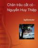 Chăn trâu cắt cỏ- Nguyễn  Huy Thiệp