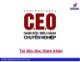 CEO -  Giám đốc điều hành chuyên nghiệp