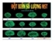 Đột biến số lượng NST - Gv Nguyễn Hoàng Qúi