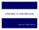 Nấm men và nấm nội tạng