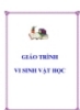 GIÁO TRÌNH VI SINH VẬT HỌC