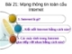 Mạng thôn tin toàn cầu Internet