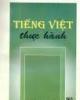 BÀI GIẢNG TIẾNG VIỆT THỰC HÀNH