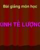 BÀI GIẢNG : KINH TẾ LƯỢNG