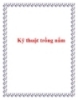 Kỹ thuật trồng nấm