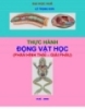 Thực hành động vật học