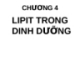 Lipit trong dinh dưỡng