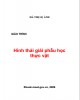 Giáo trình Hình thái giải phẫu học thực vật: Phần 2 - Hà Thị Lệ Ánh