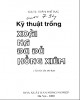 Ebook Kỹ thuật trồng xoài, na, đu đủ, hồng xiêm: Phần 2 - GS.TS. Trần Thế Tục