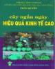 Ebook Cây ngắn ngày hiệu quả kinh tế cao: Phần 2 - Trần Quyển