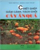 Ebook Chiết ghép, giâm cành, tách chồi cây ăn quả: Phần 1 - Trần Thế Tục, Hoàng Ngọc Thuận