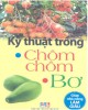 Ebook Kỹ thuật trồng chôm chôm, bơ: Phần 2