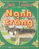 Ebook Nanh Trắng: Phần 1