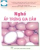 Ebook Nghề ấp trứng gia cầm: Phần 1