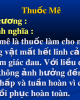 Bài giảng Dược lý học: Thuốc mê, thuốc tê