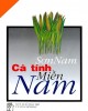 Ebook Cá tính của miền Nam - NXB Trẻ