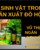 Bài thuyết trình Công nghệ thực phẩm - Bài: Vi sinh vật trong sản xuất đồ hộp