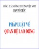 Bài giảng Pháp luật về quan hệ lao động