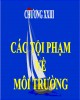 Bài giảng Các tội phạm về môi trường