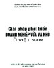 Ebook Giải pháp phát triển doanh nghiệp vừa và nhỏ ở Việt Nam: Phần 2