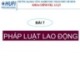 Bài giảng Pháp luật đại cương (General law) - Bài 7: Pháp luật lao động