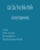 Bài giảng Cơ sở lập trình: Các cấu trúc điều khiển (Control statements) - Trịnh Tấn Đạt