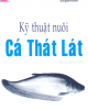 Ebook Kỹ thuật nuôi cá thát lát