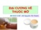 Bài giảng bộ môn Bào chế: Đại cương về thuốc mỡ - Đại học Nguyễn Tất Thành