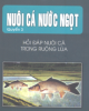 Ebook Nuôi cá nước ngọt - Hỏi đáp nuôi cá trong ruộng lúa (Quyển 3)