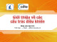 Bài giảng Nhập môn lập trình: Giới thiệu về các cấu trúc điều khiển - Trường ĐH Khoa học tự nhiên TP. HCM