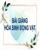 Bài giảng Hóa sinh động vật - Chuyển hóa carbohydrate